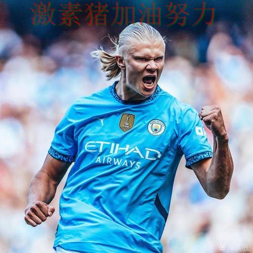 哈兰德关键失误让外界质疑声迅速升高 哈兰德关键失误让外界质疑声迅速升高